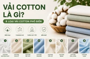 Vải cotton là gì và 8 loại vải cotton phổ biến gồm cotton nguyên chất, cotton chải kỹ, cotton dệt kim, cotton washed, cotton hữu cơ, cotton bóng, cotton pha Lycra và cotton lạnh.