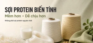 Sợi protein biến tính từ sữa và đậu nành