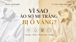 So sánh áo sơ mi trắng tinh khôi và áo bị ố vàng do ánh nắng, mồ hôi, giặt chưa sạch và thời gian.