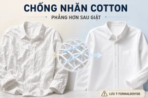 So sánh vải cotton chống nhăn trước và sau giặt, minh họa mạng liên kết ngang và lưu ý formaldehyde
