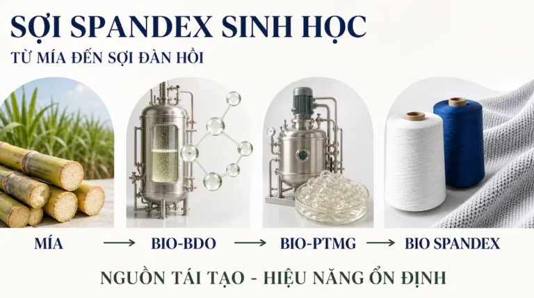 Chuỗi sản xuất sợi spandex sinh học từ mía qua Bio-BDO và Bio-PTMG