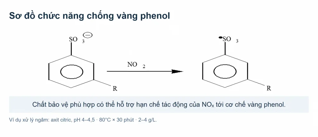 Sơ đồ chất bảo vệ chống vàng phenol và ví dụ xử lý ngâm
