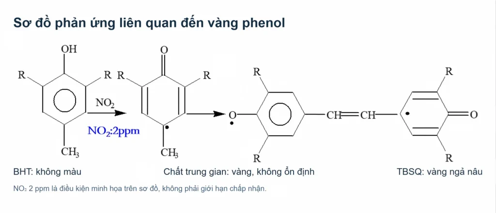 Sơ đồ phản ứng BHT, chất trung gian và TBSQ liên quan đến vàng phenol